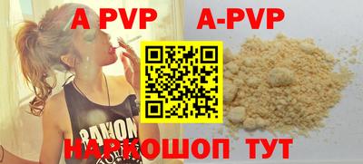 гашик Моздок