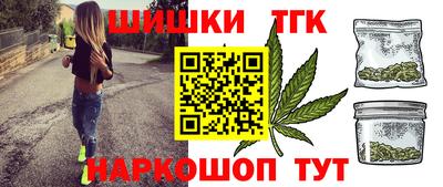 гашик Моздок