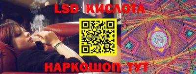 гашик Моздок