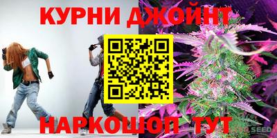 гашик Моздок