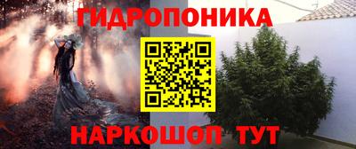 PSILOCYBIN Можайск
