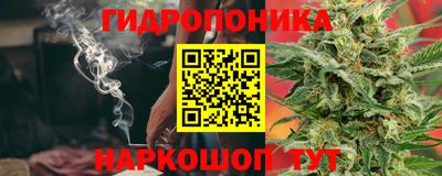 гашик Моздок