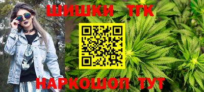 гашик Моздок